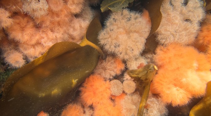 Rundt Sandveret og gjennom “kanalen”