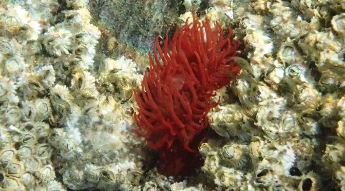 Pause på lesiden / A break on the leeward side