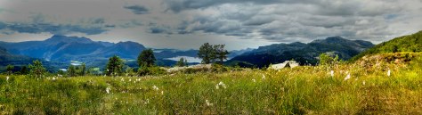 wp_o_ny_endestadnipa1