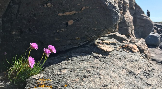 Med mobilkamera på Sørstrand